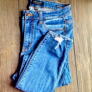Judy Blue High Rise Ankle Skinny Jean Size 9/29
